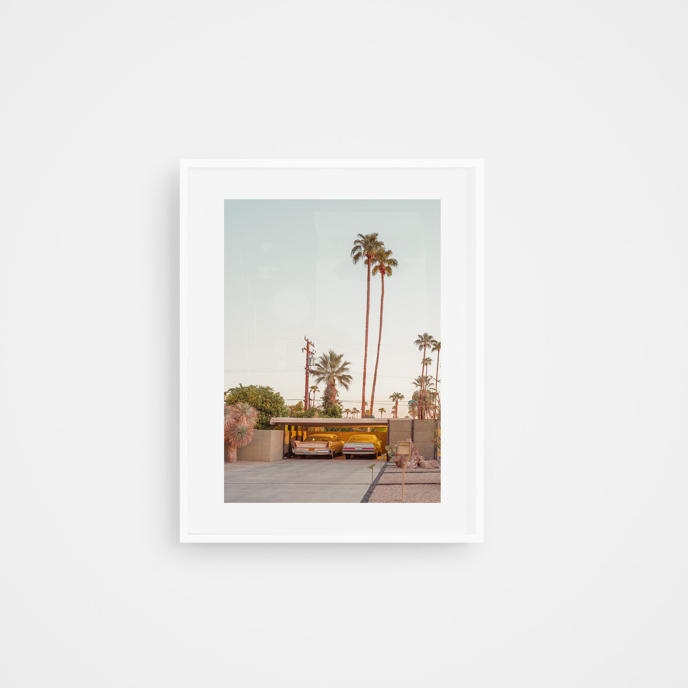 Buy-fine-art-Ludwig-Favre-One-morning-in-Palm-Springs