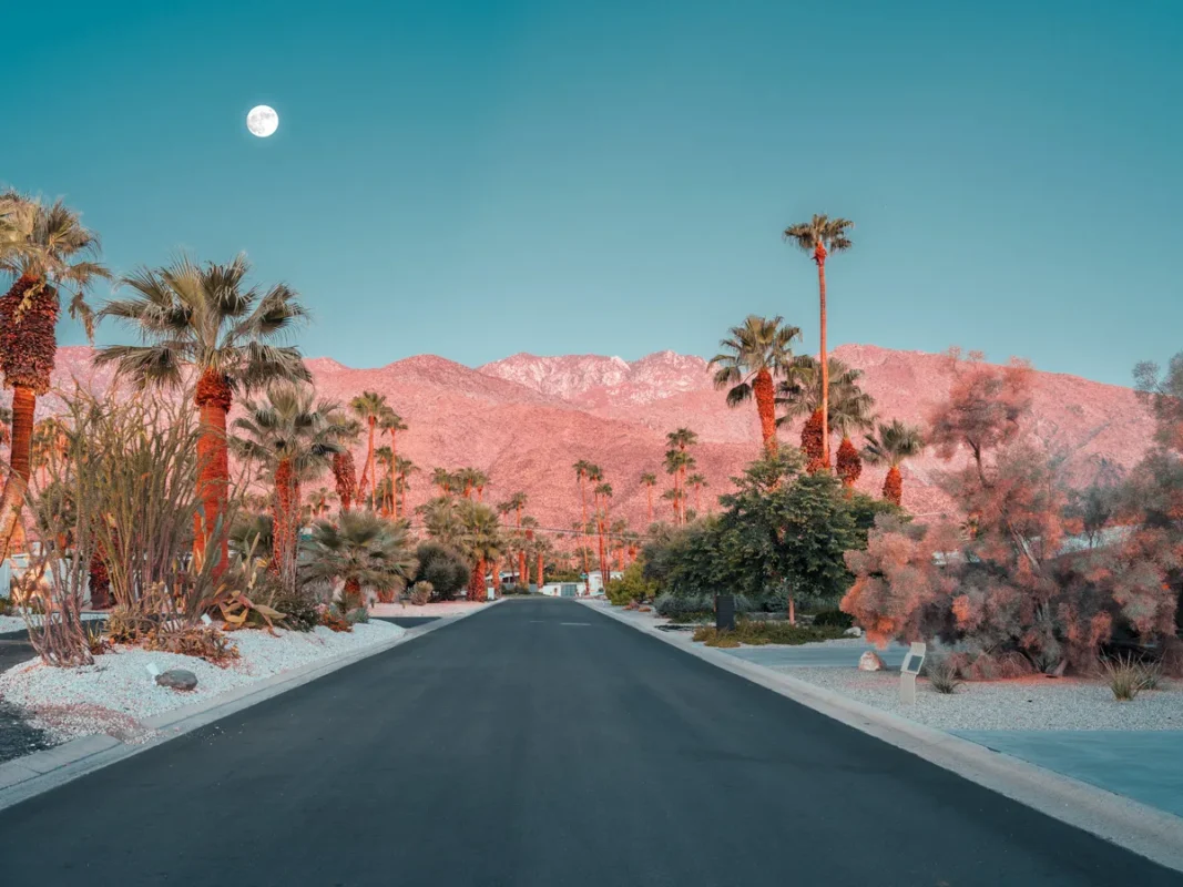 Palm trees and mountains at desert sunrise along a quiet road, Palm Springs, fine art print by Ludwig Favre