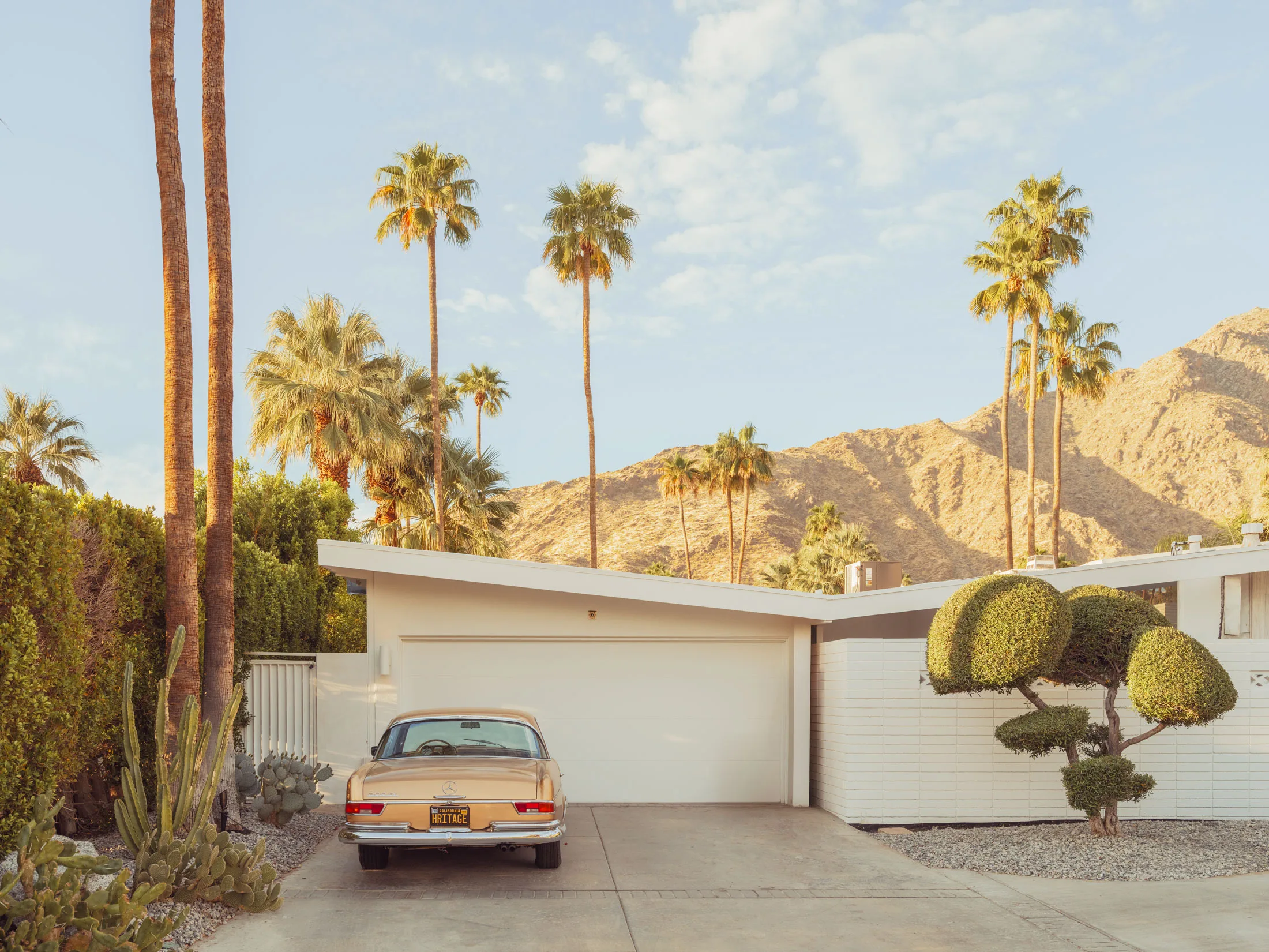 Ludwig Favre Photography