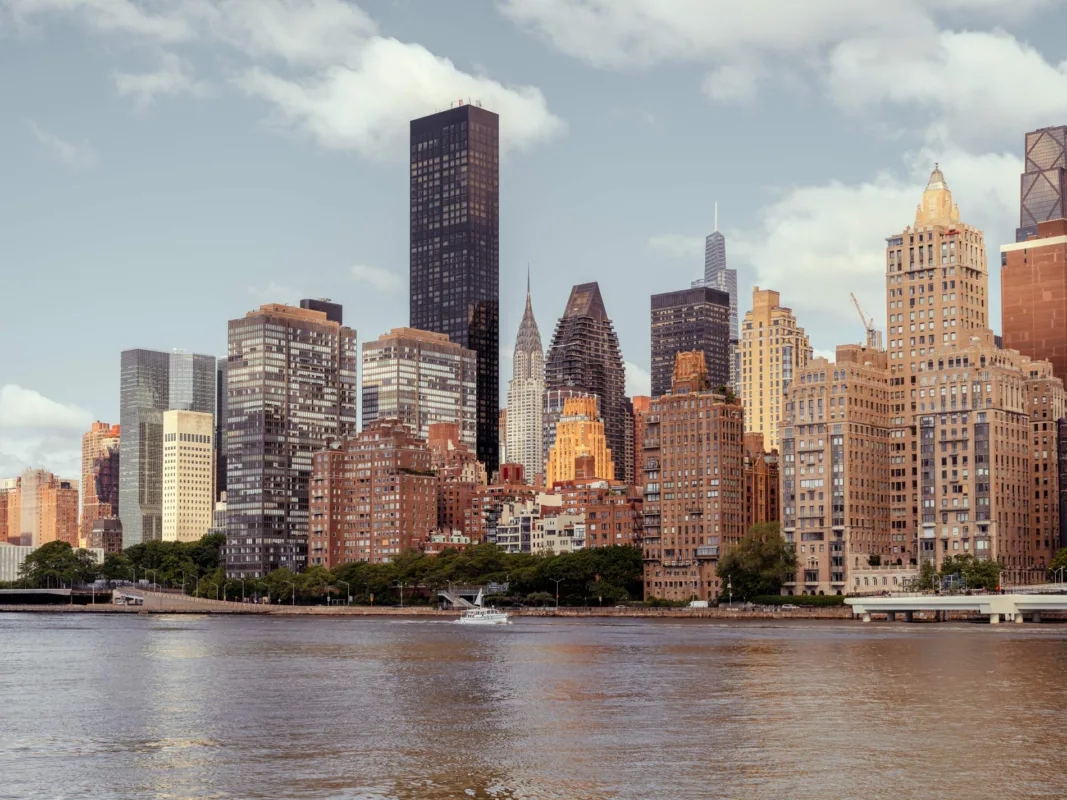 The New yorkers