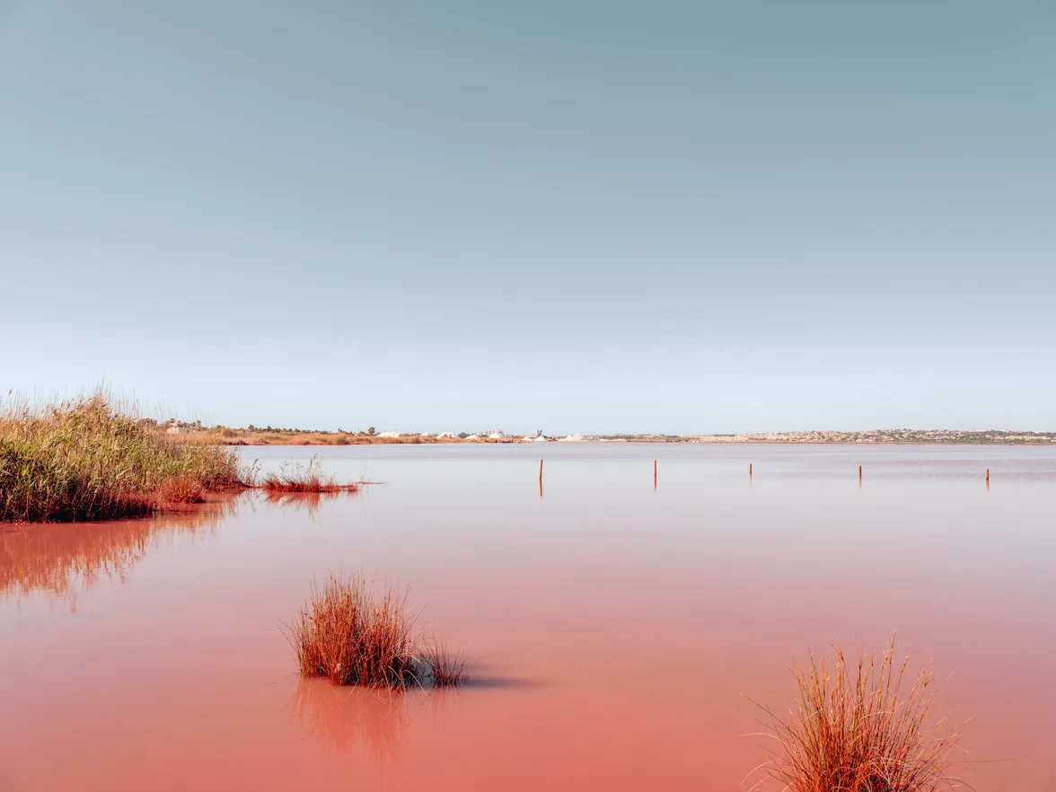 A calm, pink lagoon with sparse reeds and a distant town sits under a clear blue sky during daylight hours. Pink waters and marsh grasses at Calpe lagoon, Spain, limited edition fine art print by Ludwig Favre
