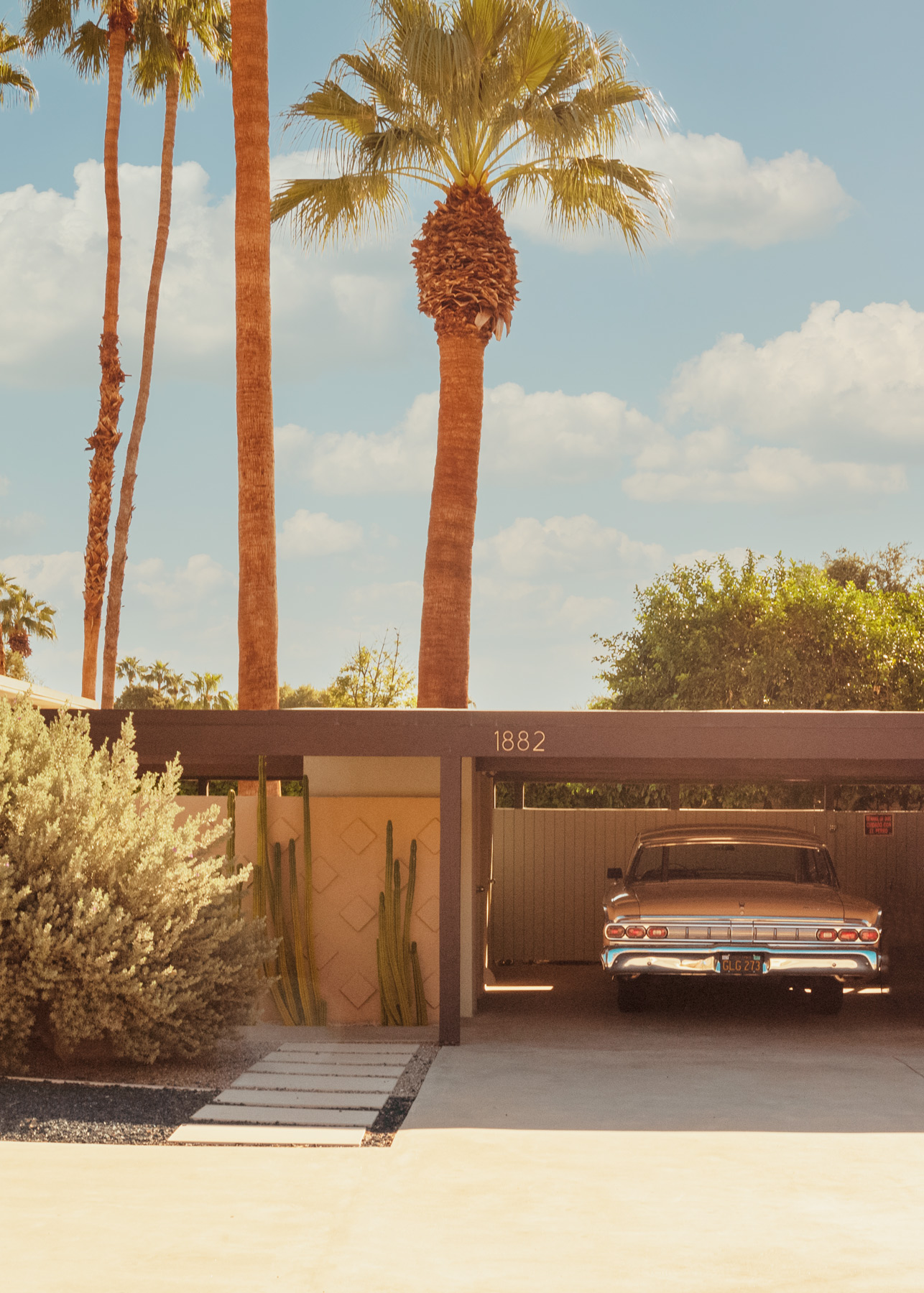 The image displays a beautiful outdoor setting with tall palm trees swaying in the warm — limited edition fine art print by Ludwig Favre