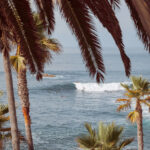 Palm fronds framing a tranquil beach scene at Crystal Cove State Park with surfers in soft light, limited edition fine art print by Ludwig Favre