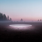 Horses grazing in misty pasture at dusk with circular spotlight, trees under pink-blue sky.