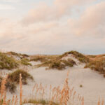 White sand dunes with sea oats under a pastel pink sky, limited edition fine art print by Ludwig Favre