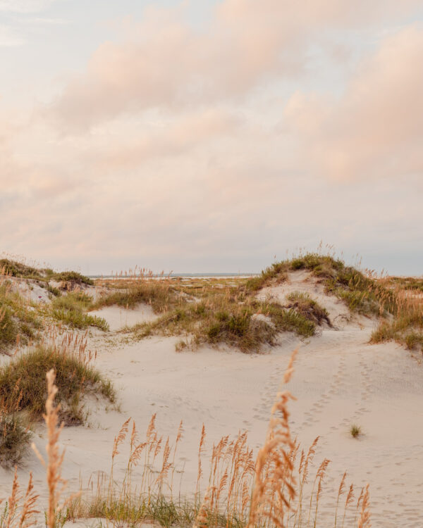 White sand dunes with sea oats under a pastel pink sky, fine art print by Ludwig Favre