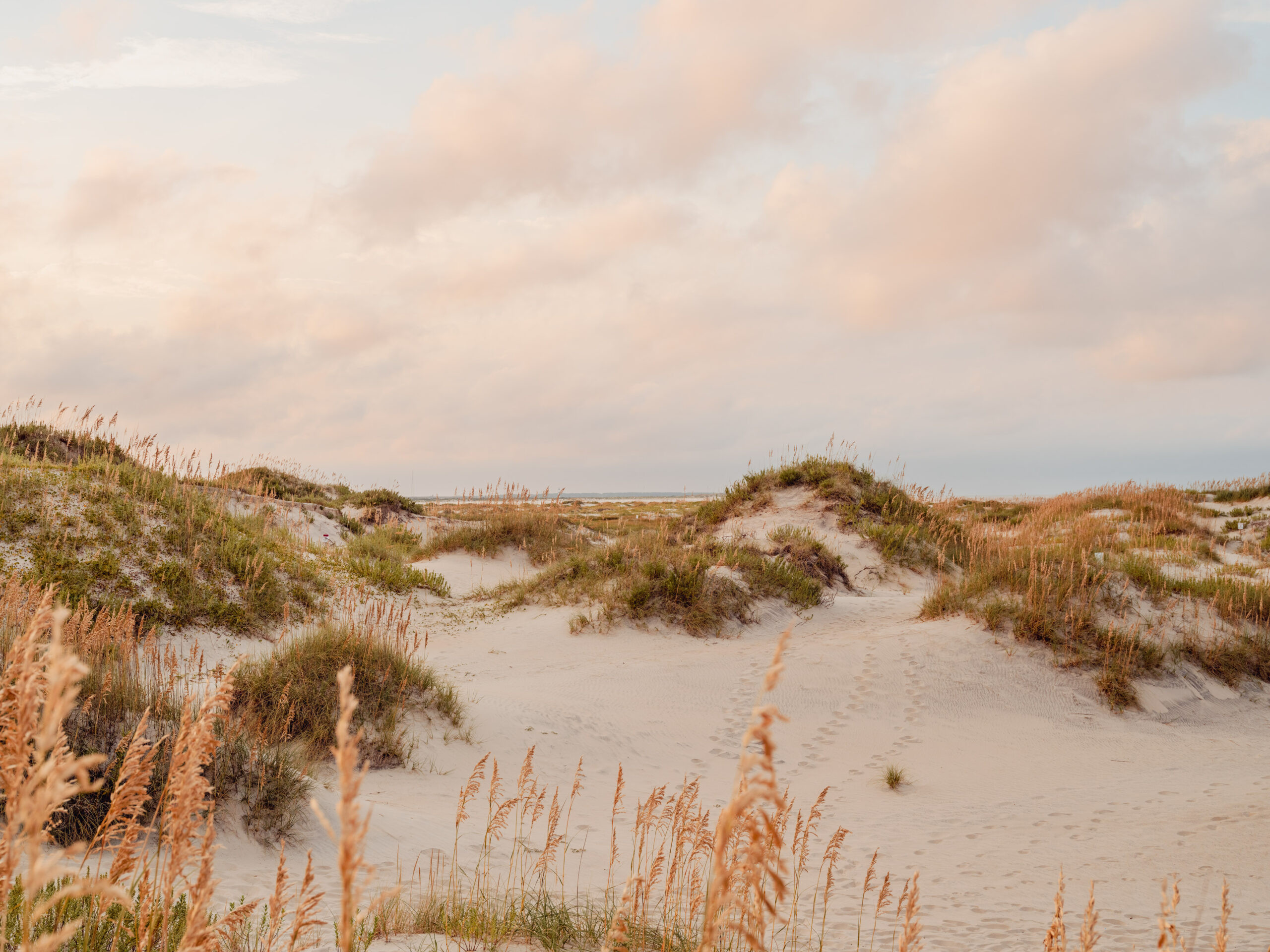 Sandy coastal dunes with patches of sea oats under a soft pastel pink and orange sky at sunset. White sand dunes with sea oats under a pastel pink sky, limited edition fine art print by Ludwig Favre