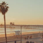 Tall palm tree overlooks a long pier and beach in Oceanside, California, under a warm, golden sunset.