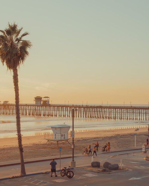 Tall palm tree overlooks a long pier and beach in Oceanside, California, under a warm, golden sunset.
