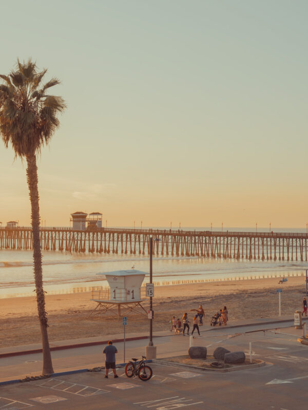 Tall palm tree overlooks a long pier and beach in Oceanside, California, under a warm, golden sunset.