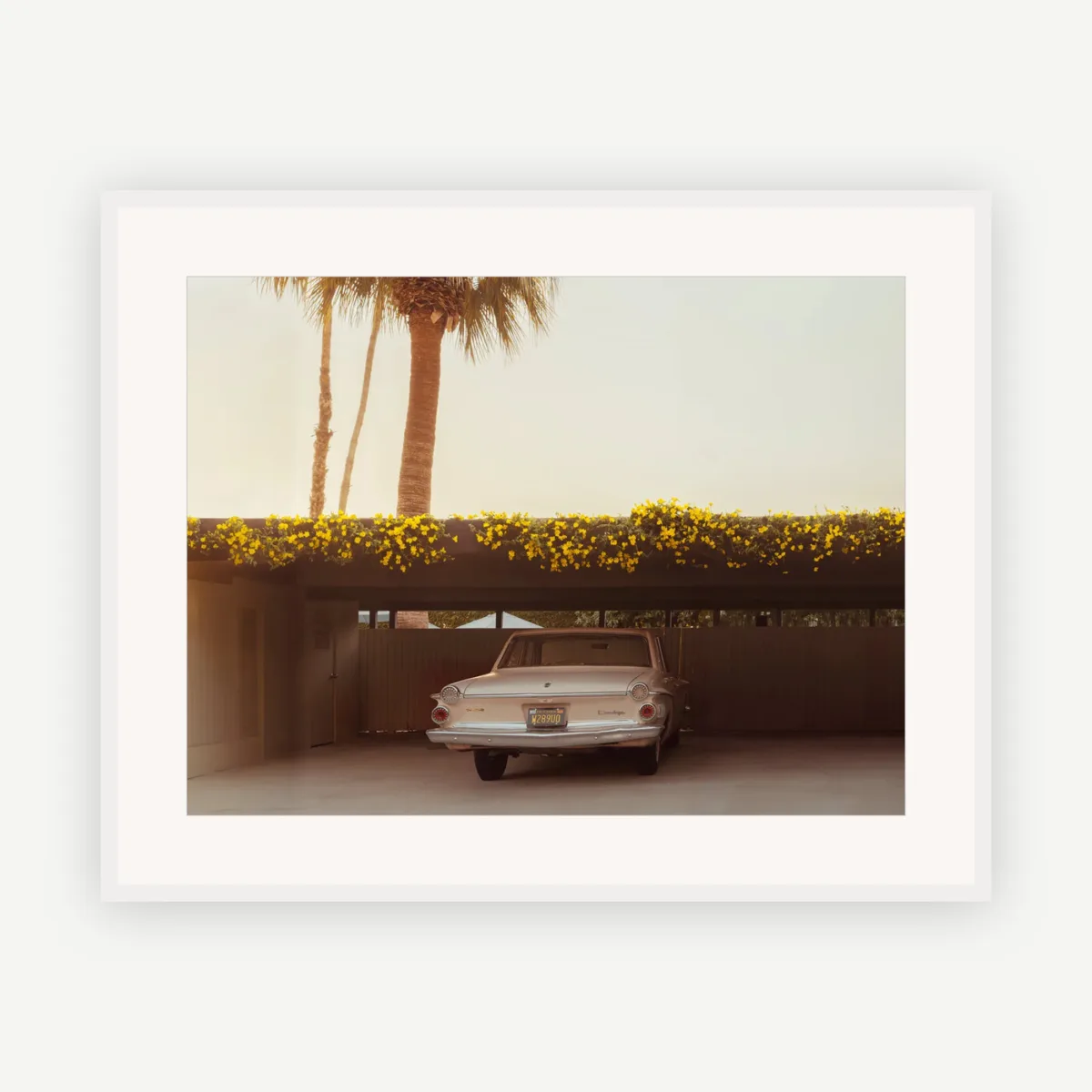 Afternoon Carport, Palm Springs
