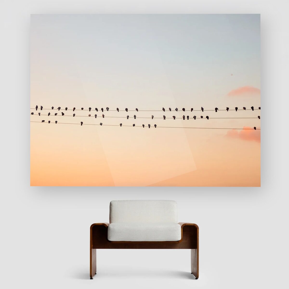 Birds on Wires, Evening Light, Los Angeles
